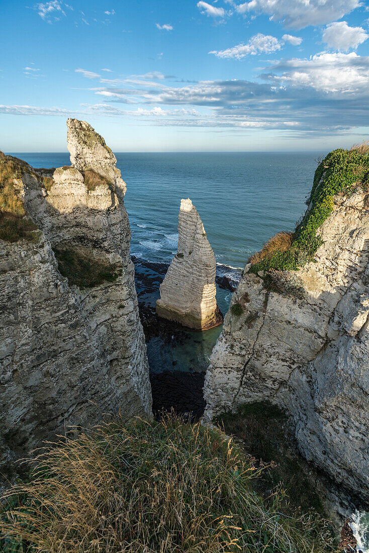 Porte d'Aval pinnacle, Etretat, Normandy, France, Europe