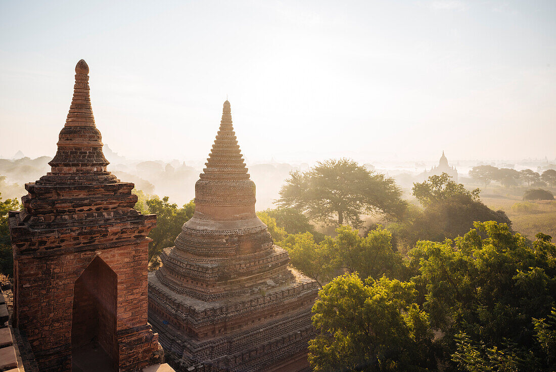 Blick auf Tempel im Morgengrauen, Bagan (Pagan), Mandalay Region, Myanmar (Burma), Asien
