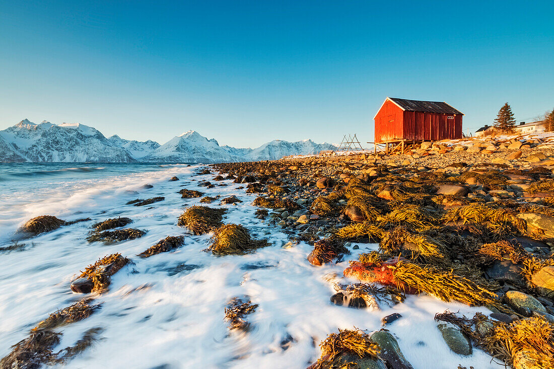 Typical wooden hut called Rorbu surrounded by waves of the cold sea and snowy peaks, Djupvik, Lyngen Alps, Troms, Norway, Scandinavia, Europe