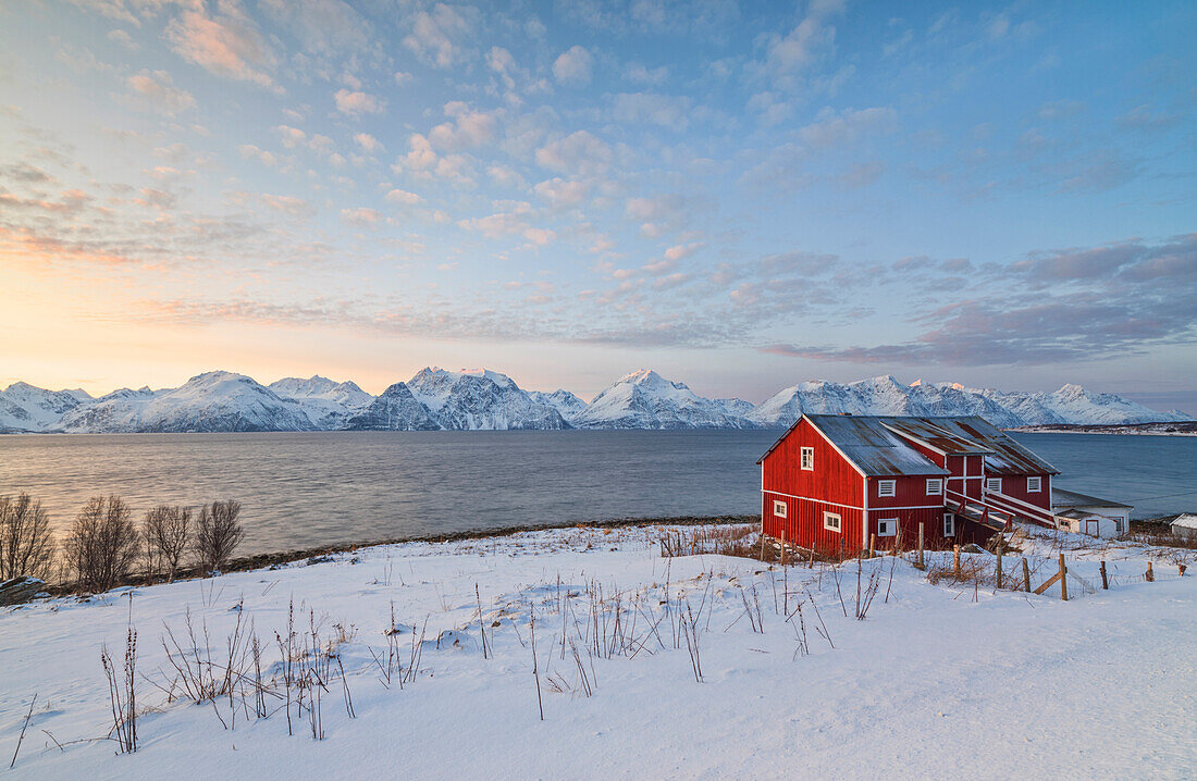 Rosa Himmel bei Sonnenuntergang auf einer hölzernen Hütte namens Rorbu, gefrorenes Meer und schneebedeckten Gipfeln, Djupvik, Lyngen Alpen, Troms, Norwegen, Skandinavien, Europa
