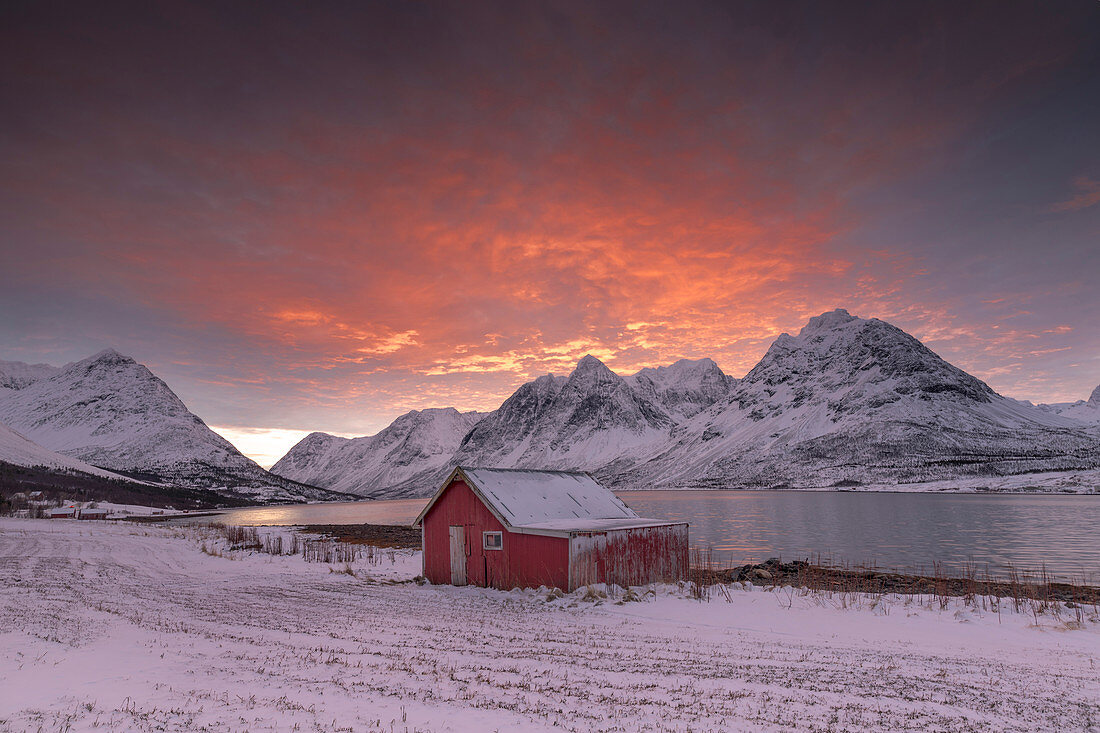 Rosa Wolken am Morgen auf der Holzhütte umgeben von gefrorenem Meer und schneebedeckten Gipfeln, Svensby, Lyngen Alpen, Troms, Norwegen, Skandinavien, Europa