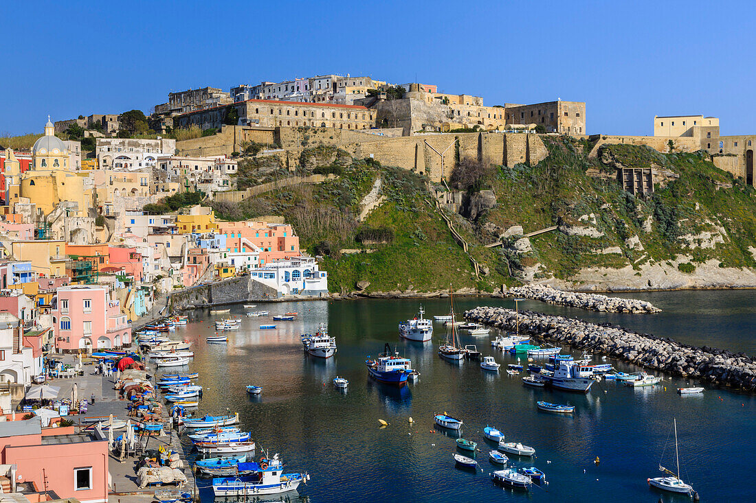 Marina Corricella, pretty fishing village, boats below Terra Murata acropolis fortress, Procida Island, Bay of Naples, Campania, Italy, Europe