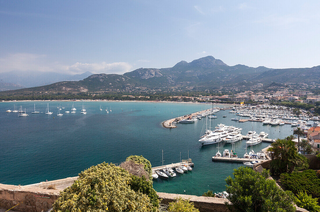 Blick auf den Hafen in der Bucht, umgeben von dem türkisblauen Meer, Calvi, Balagne Region, Nordwestkorsika, Frankreich, Mittelmeer, Europa