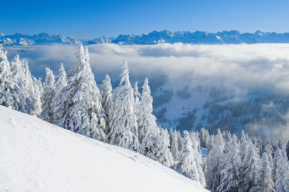 View from Rigi Kulm, Swiss Alps, Switzerland, Europe