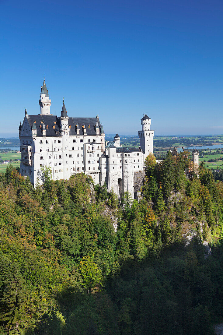 Schloss Neuschwanstein, Füssen, Allgäu, Allgäuer Alpen, Bayern, Deutschland, Europa