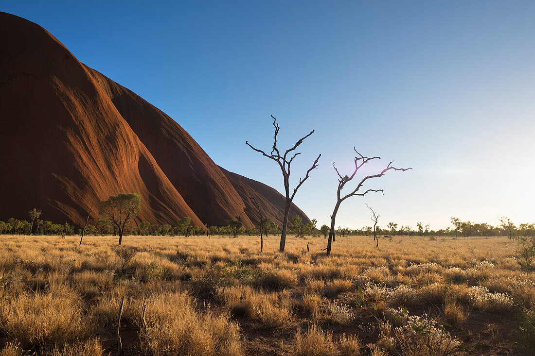 Uluru (Ayers Rock), Uluru-Kata Tjuta National Park, UNESCO World Heritage Site, Northern Territory, Australia, Pacific