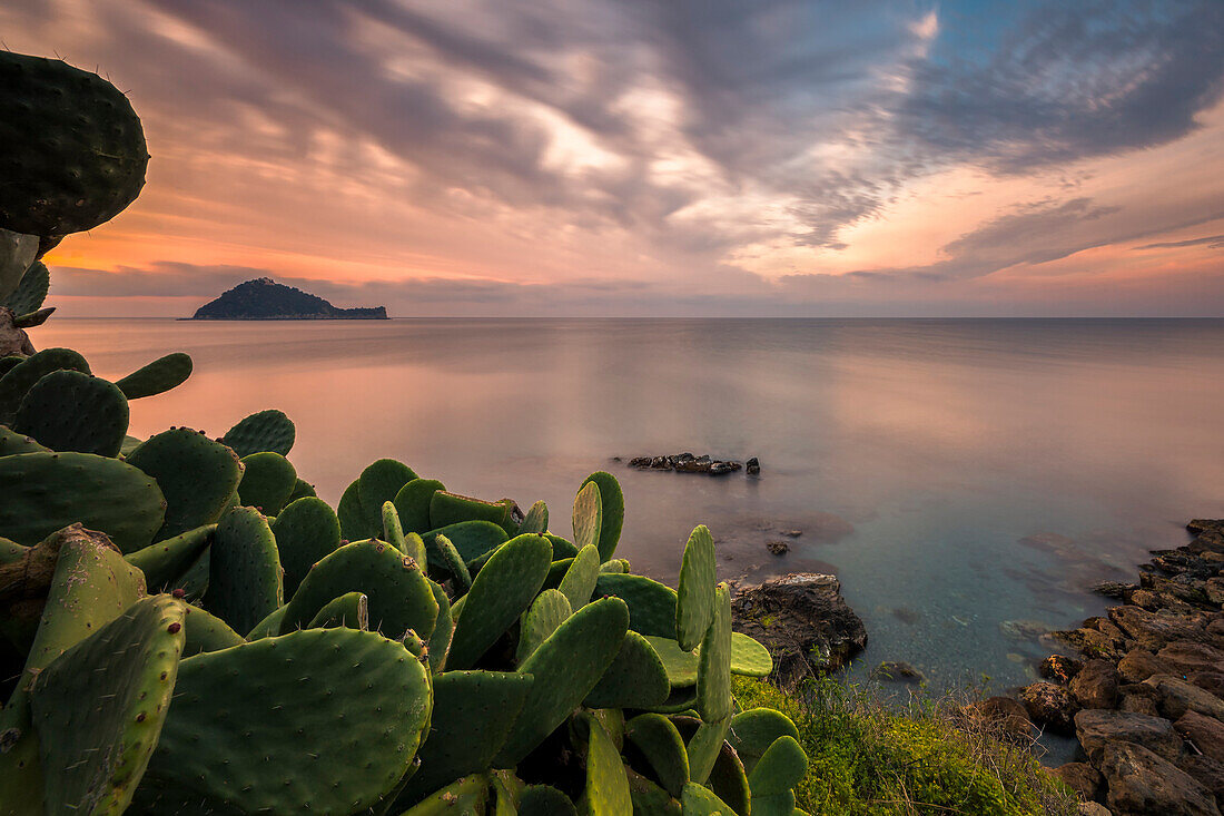 Insel Gallinara, Alassio, Provinz Savona, Ligurien, Italien, Europa