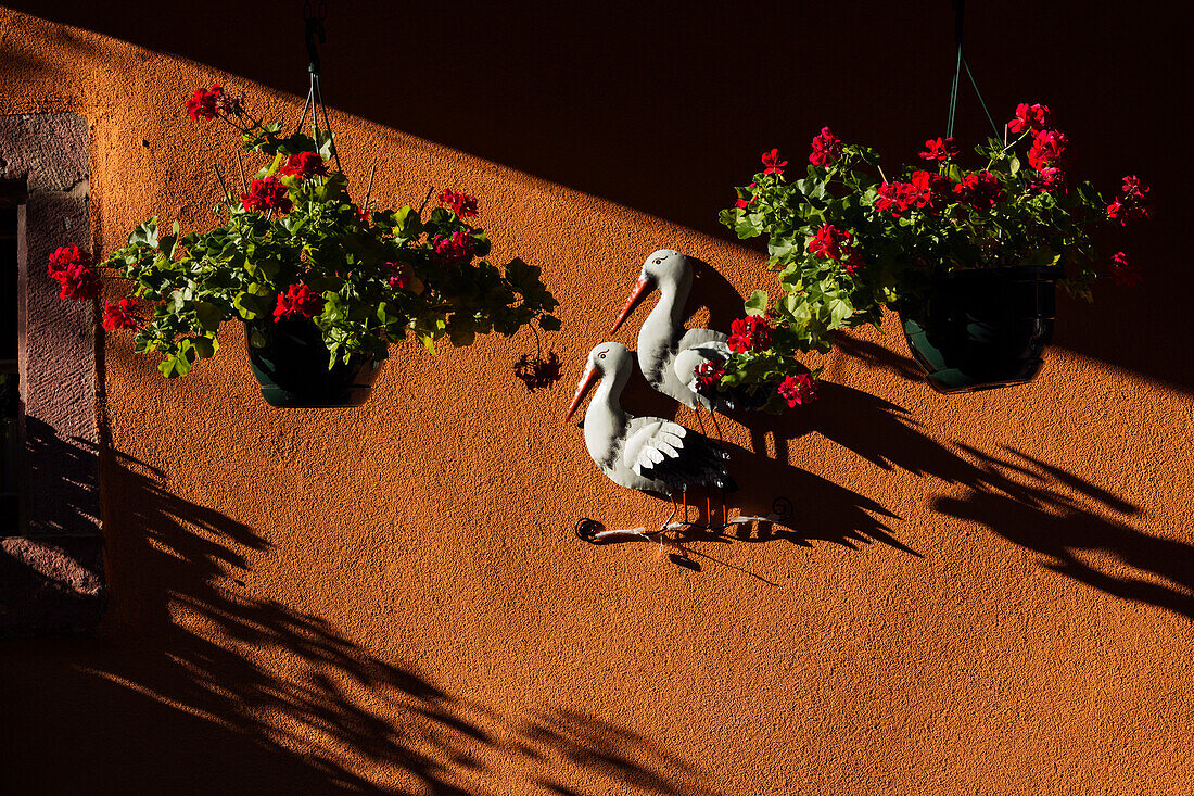 Strasbourg, Alsace, France, Storks and flowers pots