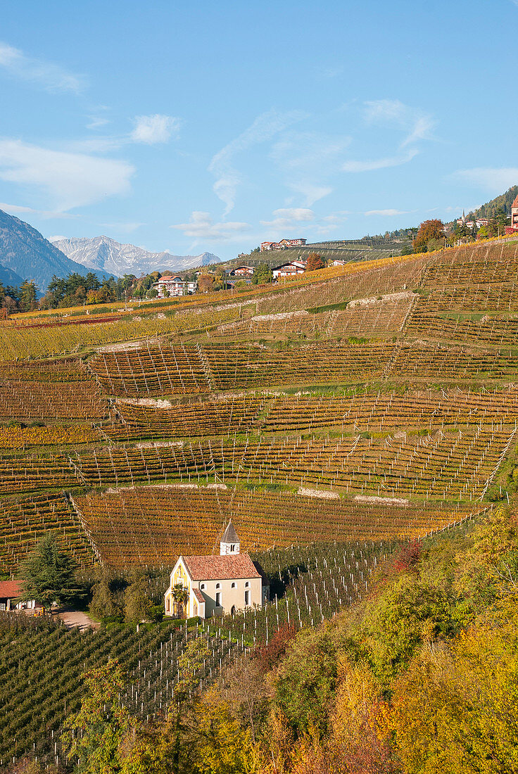 Italy, South Tyrol, Merano, castle and vineyards