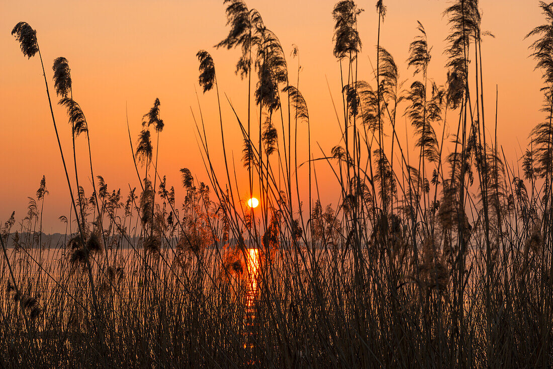 italy, Veneto, Garda Lake, sunset at lake