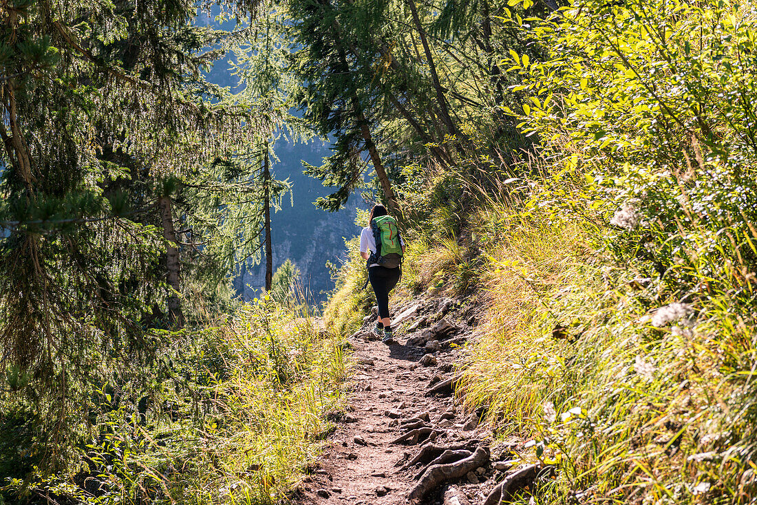 Europe, Italy, Veneto, Belluno, Woman Hiker along the path of the Alta Via nr, 3 in the Sorapis group, Dolomites