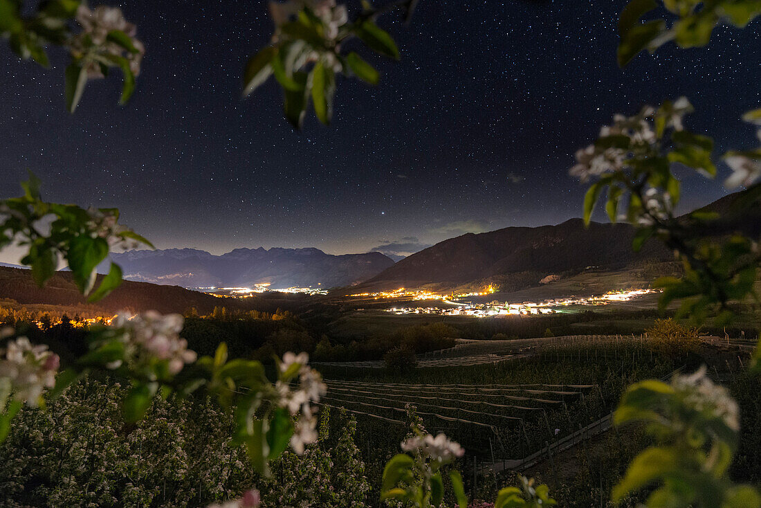 Italien, Trentino Alto Adige, Sternennacht über Non Valley in einem Rahmen von Apfelblüten