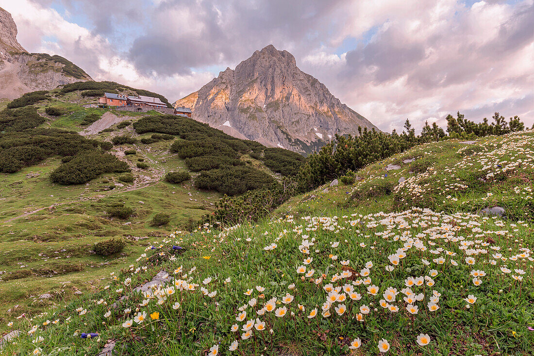 Drachensee, Mieming, Imst, Tirol - Tirol, Österreich