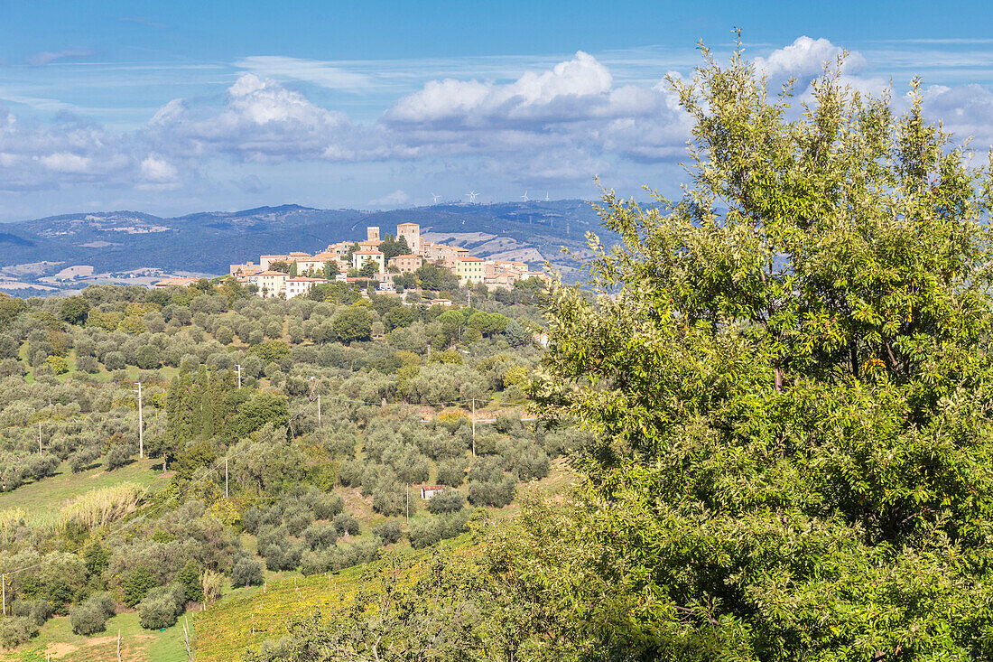 Blick auf das kleine Dorf Montemerano, Montemerano, Manciano, Provinz Grosseto, Toskana, Italien, Europa