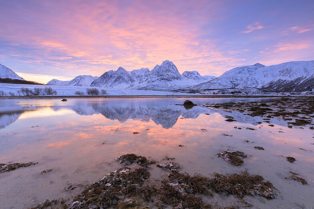Zarte Farben Sonnenaufgang nach Balsfjorden, Storsteinnes, Balsfjorden, Lyngen Alpen, Troms, Norwegen, Lappland, Europa