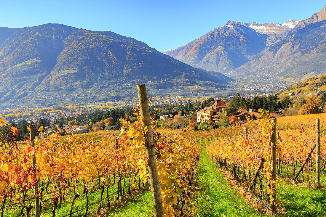 Blick auf Schloss Ramez, umgeben von Weinbergen, Schloss Ramez, Meran, Vinschgau, Südtirol, Sudtirol, Italien, Europa