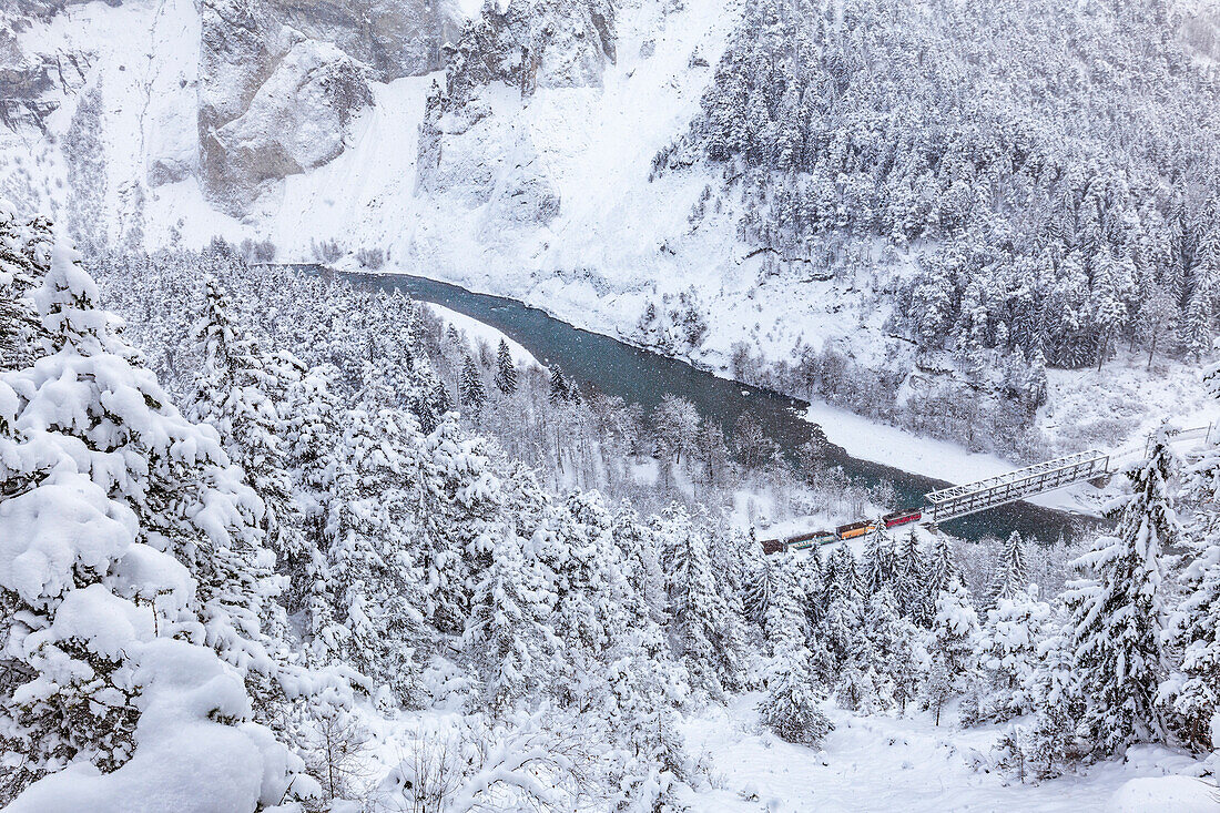 Der Rote Zug fährt in der Schlucht trotz starkem Schnee, Rheinschlucht, Ruinaulta, Flims, Imboden, Graubünden, Schweiz, Europa