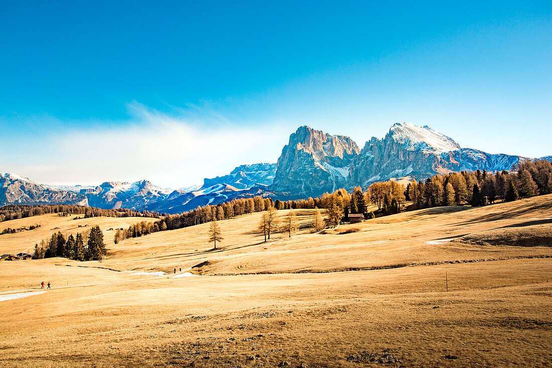 Siusi, Dolomites Alps Landscape, Trentino Alto Adige, Italy