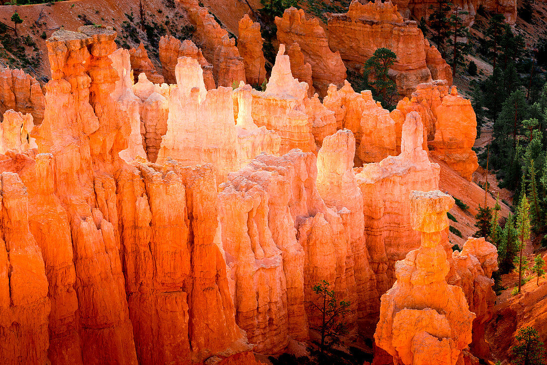 Sonnenaufgang am Bryce Canyon Nationalpark, Utah, USA, Von Sunset Point