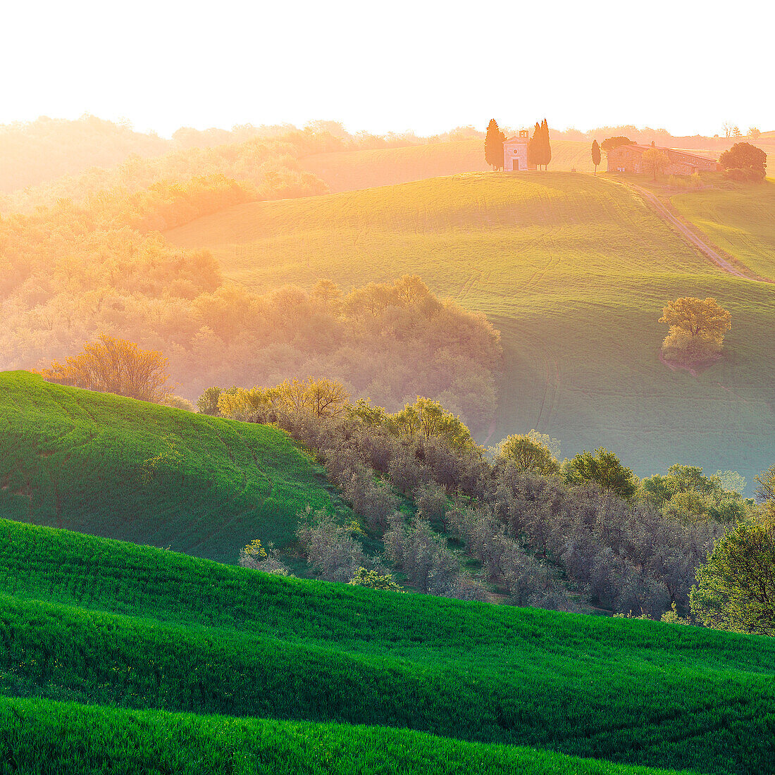 Toskana, Val d'Orcia, Italien