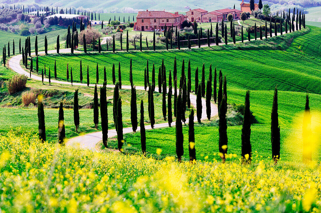 Crete Senesi, Tuscany, Italy