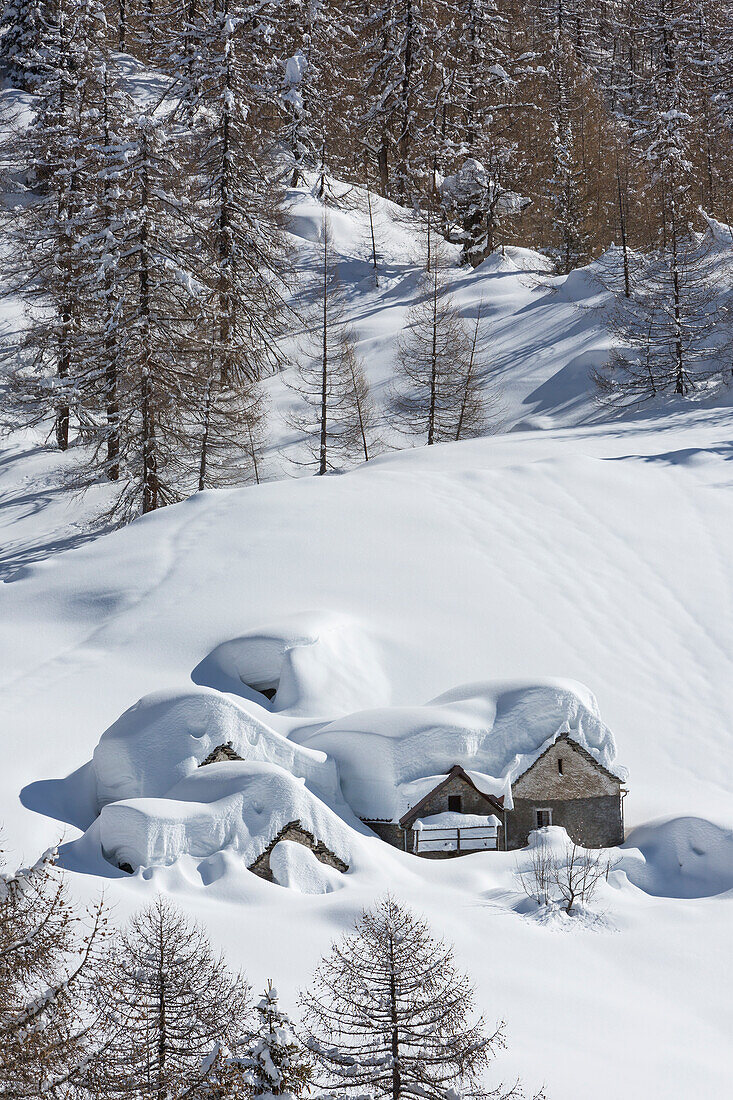 Winter view of the Alp Solcio , Alp Solcio, Varzo, Verbano Cusio Ossola province, Piedmont, Italy, Europe