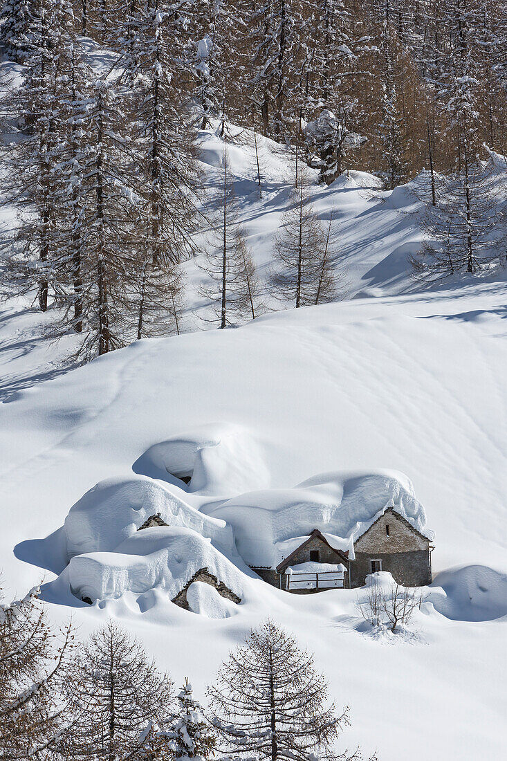 Winteransicht der Alp Solcio, Alp Solcio, Varzo, Verbano Cusio Ossola Provinz, Piemont, Italien, Europa