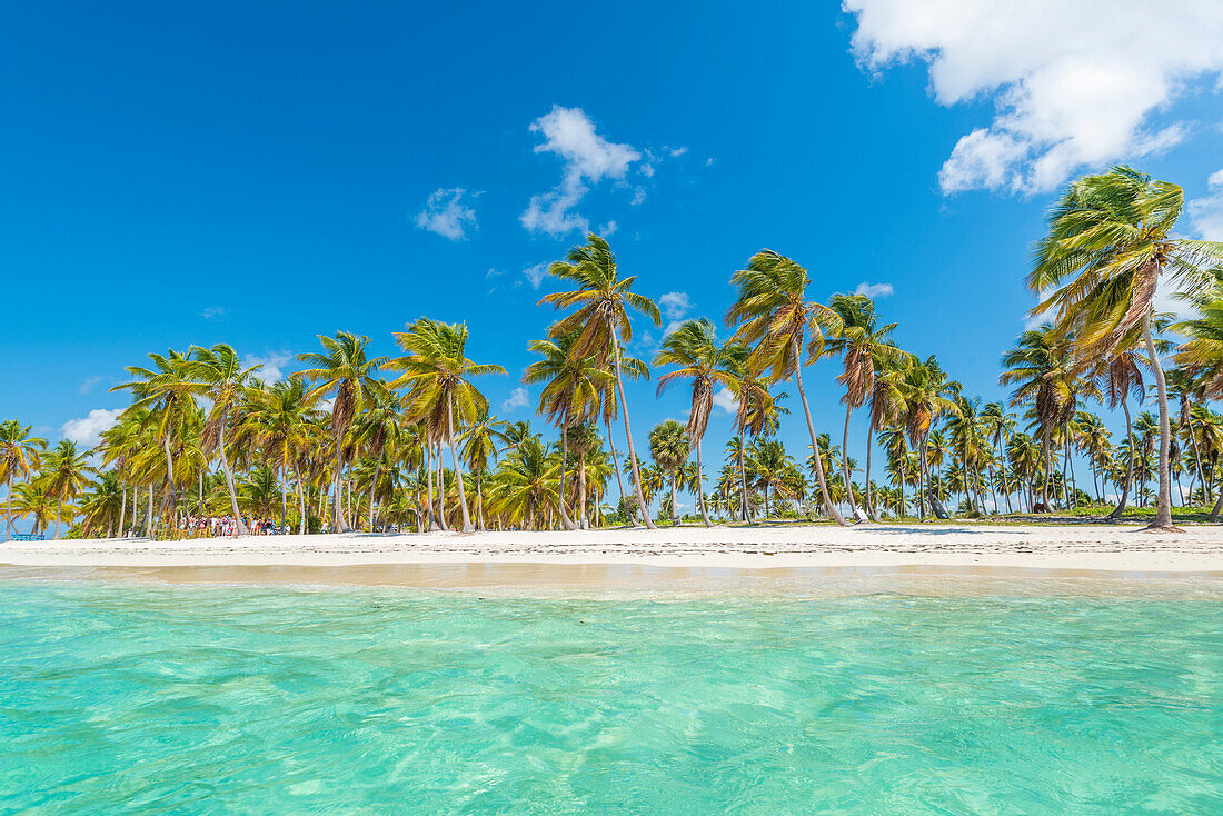 Canto de la Playa, Saona Island, East National Park , Parque Nacional del Este, Dominican Republic, Caribbean Sea