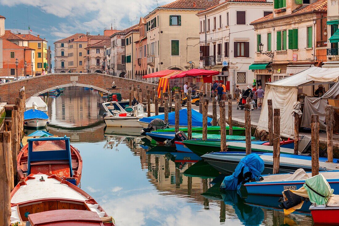 Chioggia, Boats moored in the channel and the local market on the way, Veneto, Venice, Italy