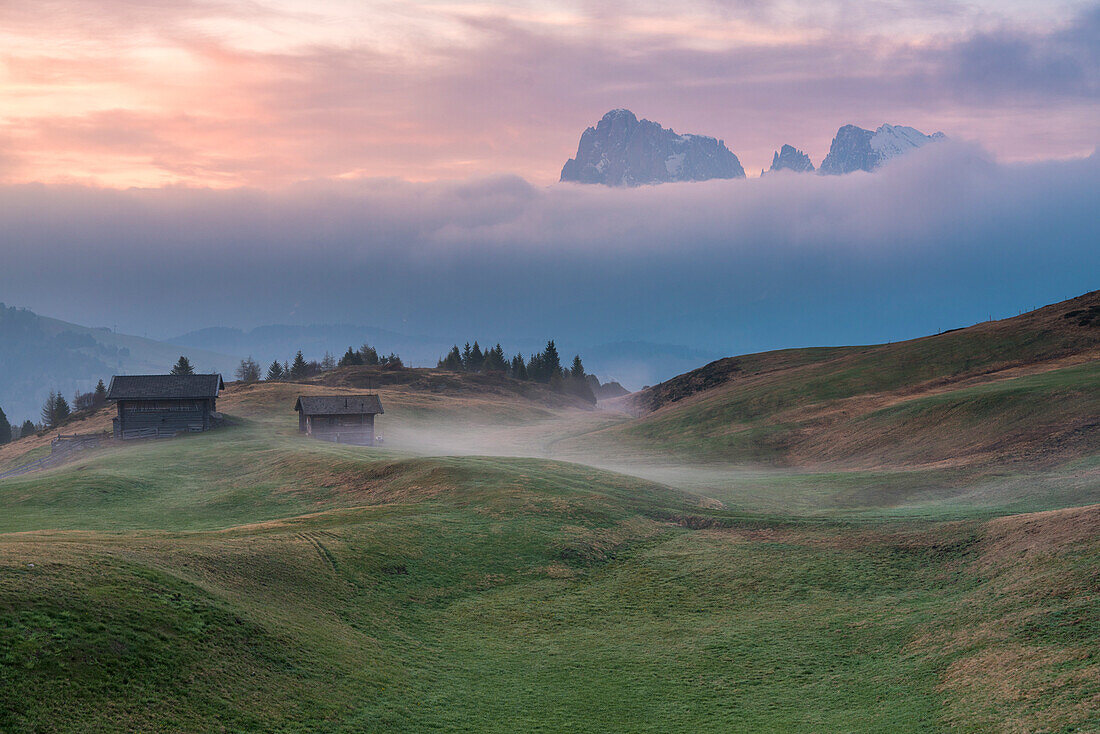 Bullaccia, Puflatsch, Alpe di Siusi, Seiser Alm, Dolomites, South Tyrol, Italy