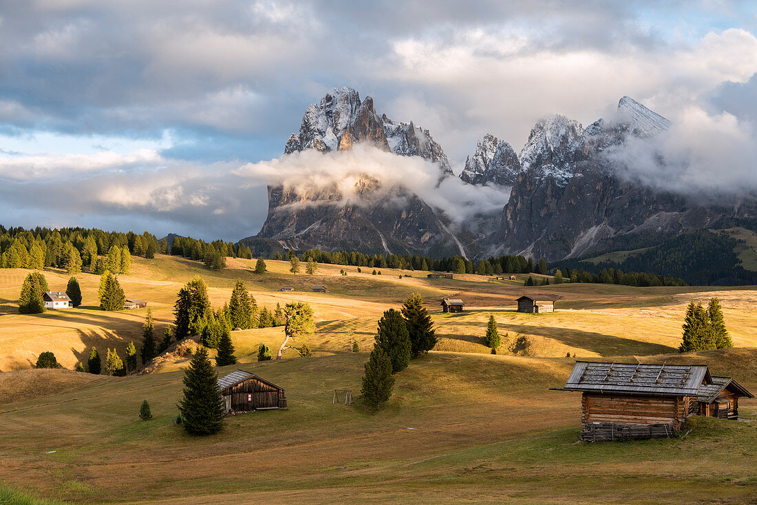 Alpe di Siusi, Seiser Alm, Dolomites, South Tyrol, Italy, Sunset on the Alpe di Siusi, Seiser Alm