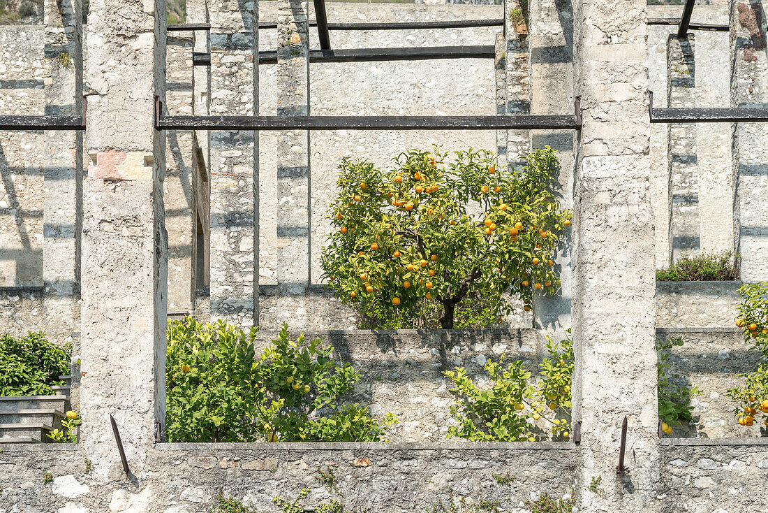 Gargnano, Lake garda, Brescia province, lombardy, Italy, Old lemon house
