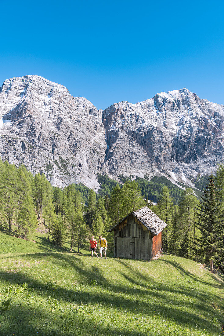 La Valle , Wengen, Alta Badia, Bolzano province, South Tyrol, Italy, Hikers traveling on the pastures of Pra de Rit