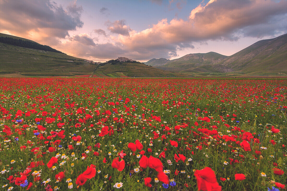 Castelluccio di Norcia, Umbria district, Italy, Europe