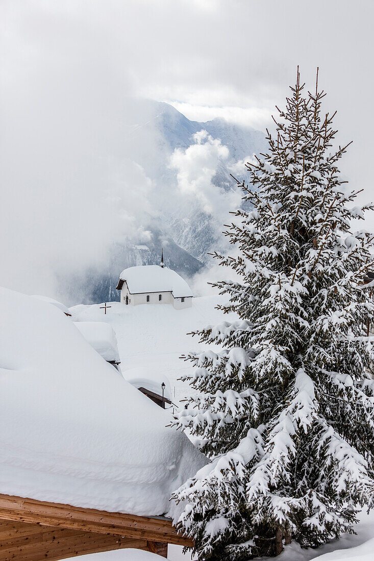 Baum mit Schneerahmen bedeckt die alpine Kirche Bettmeralp Bezirk von Raron Kanton Wallis Schweiz Europa