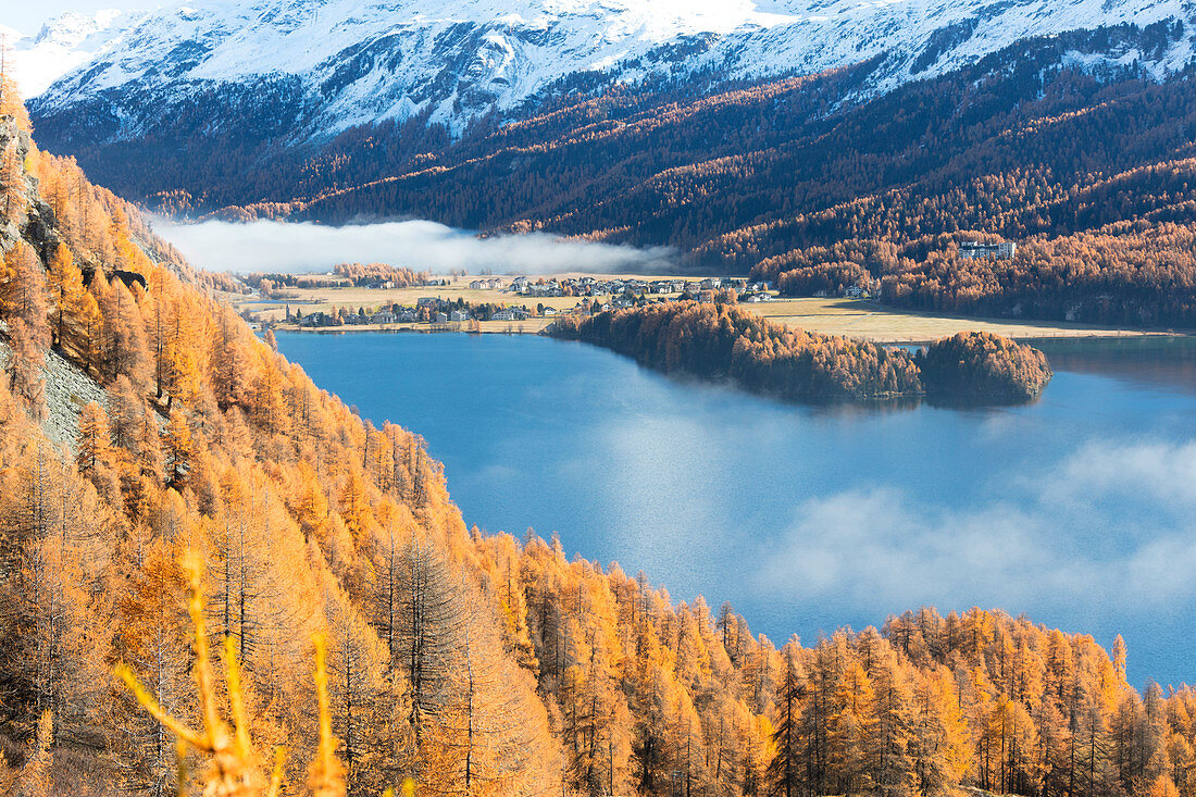 Mist above the blue lake Sils and the colorful woods of autumn Maloja Canton of Graubünden Engadine Switzerland Europe