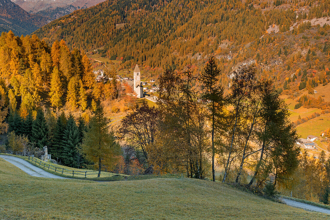 Church S, Lucia in autumn, Europe, Italy, Trentino region, Trento district, Pejo valley, Comasine city
