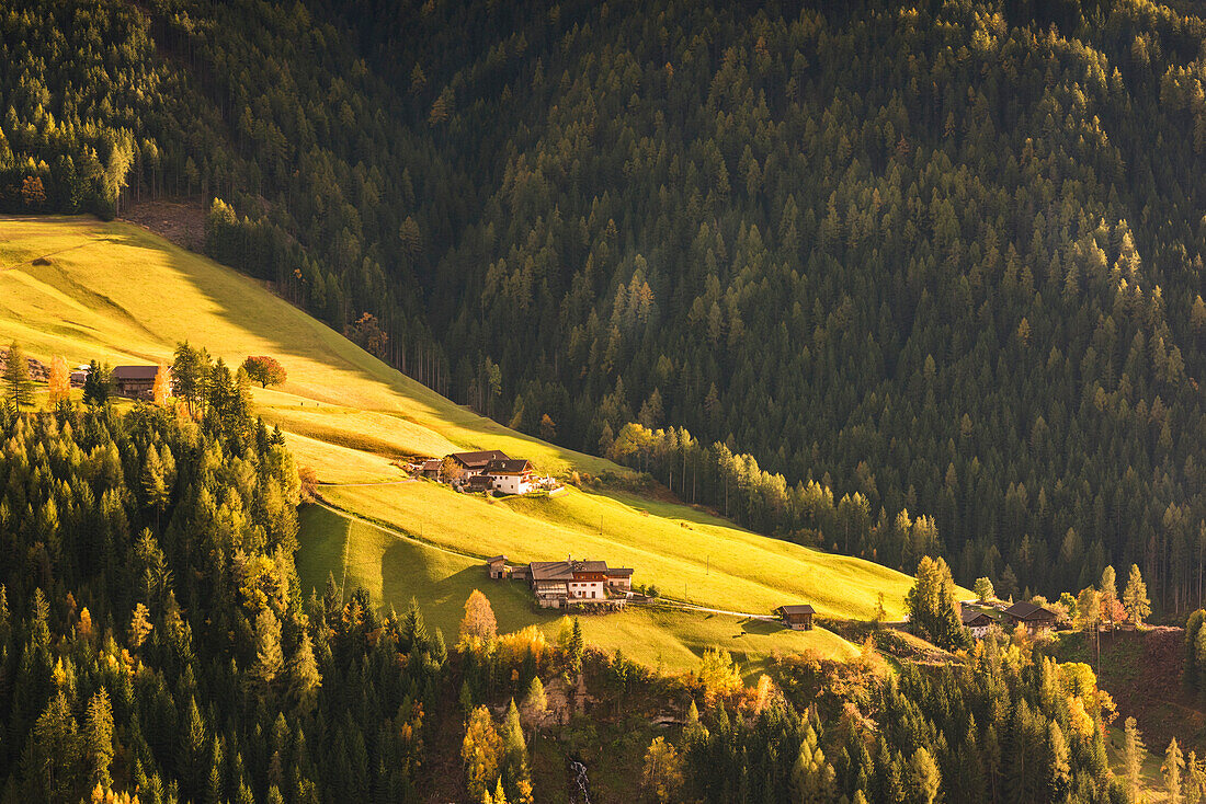 Sant Pietro, Funes, Provinz Bozen, Trentino-Südtirol, Italien
