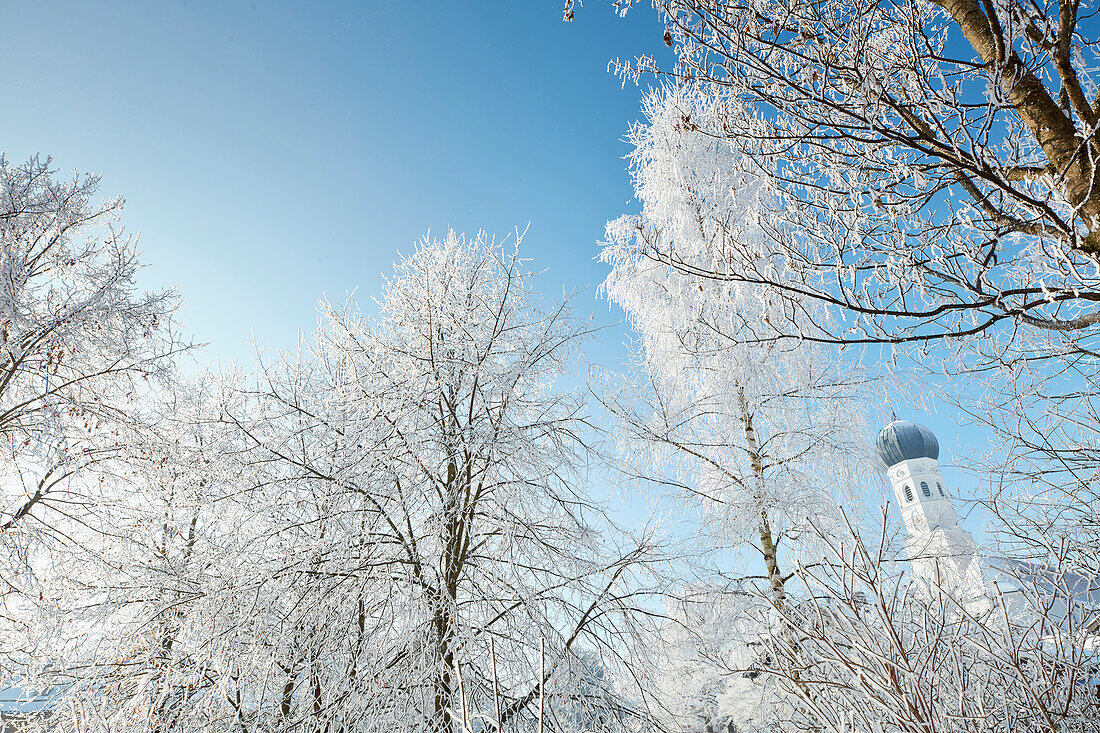 Wintermorgen, Kirchturm, Bäume, Münsing, Oberbayern, Bayern, Deutschland