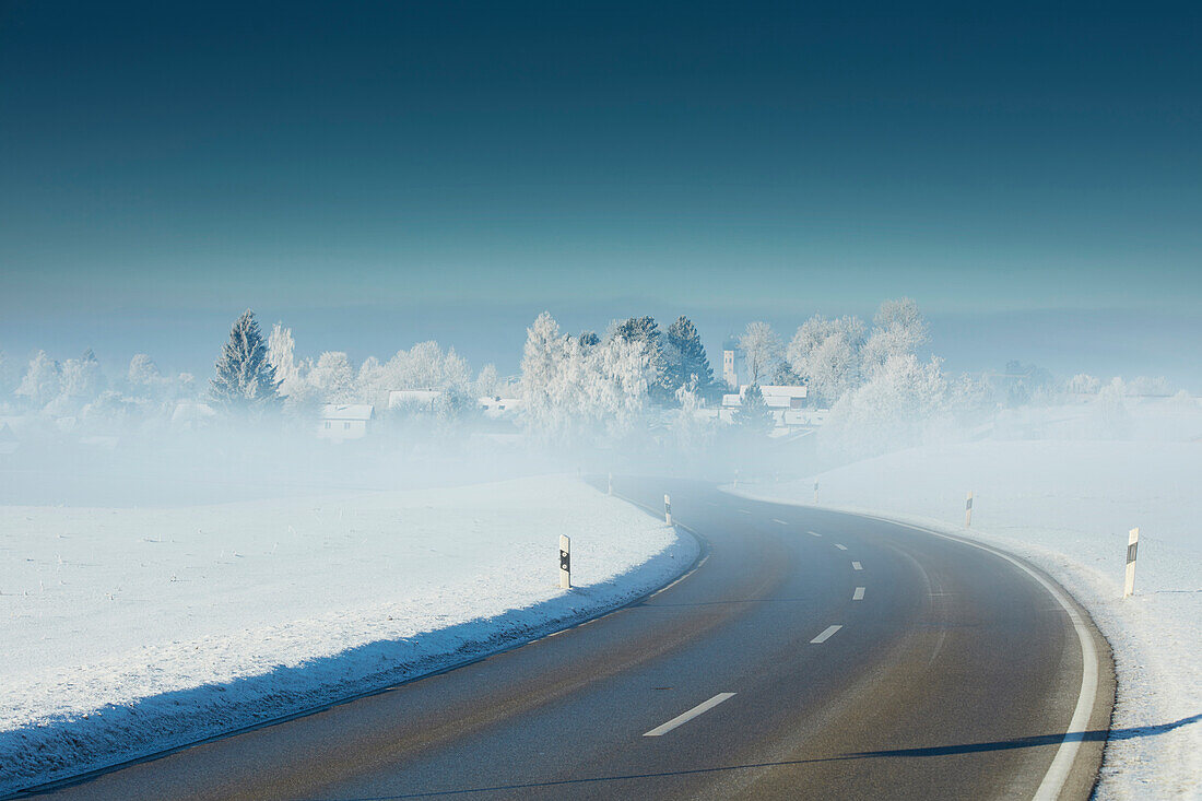 winter morning with foggy road, Muensing, Upper Bavaria, Bavaria, Germany