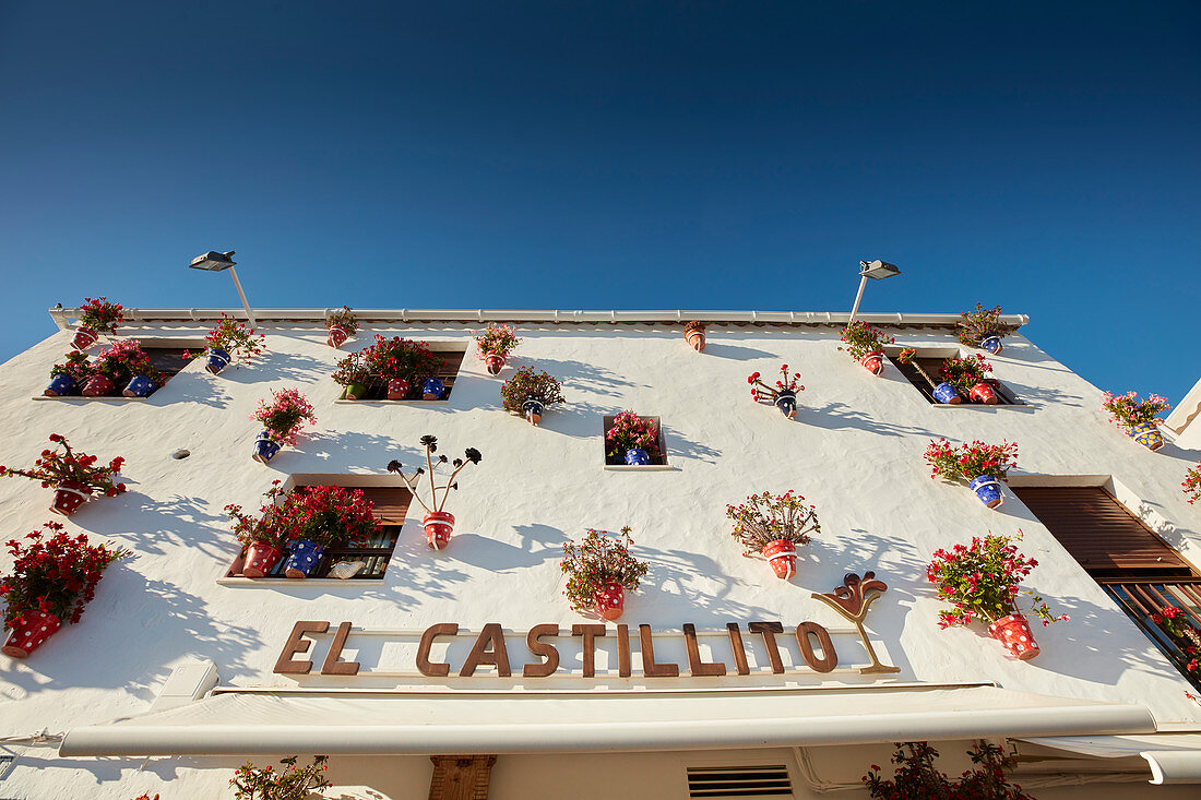 Hausfassade mit Blumen , Conil de la Frontera, Andalusien, Südwestküste Spanien, Atlantik, Europa