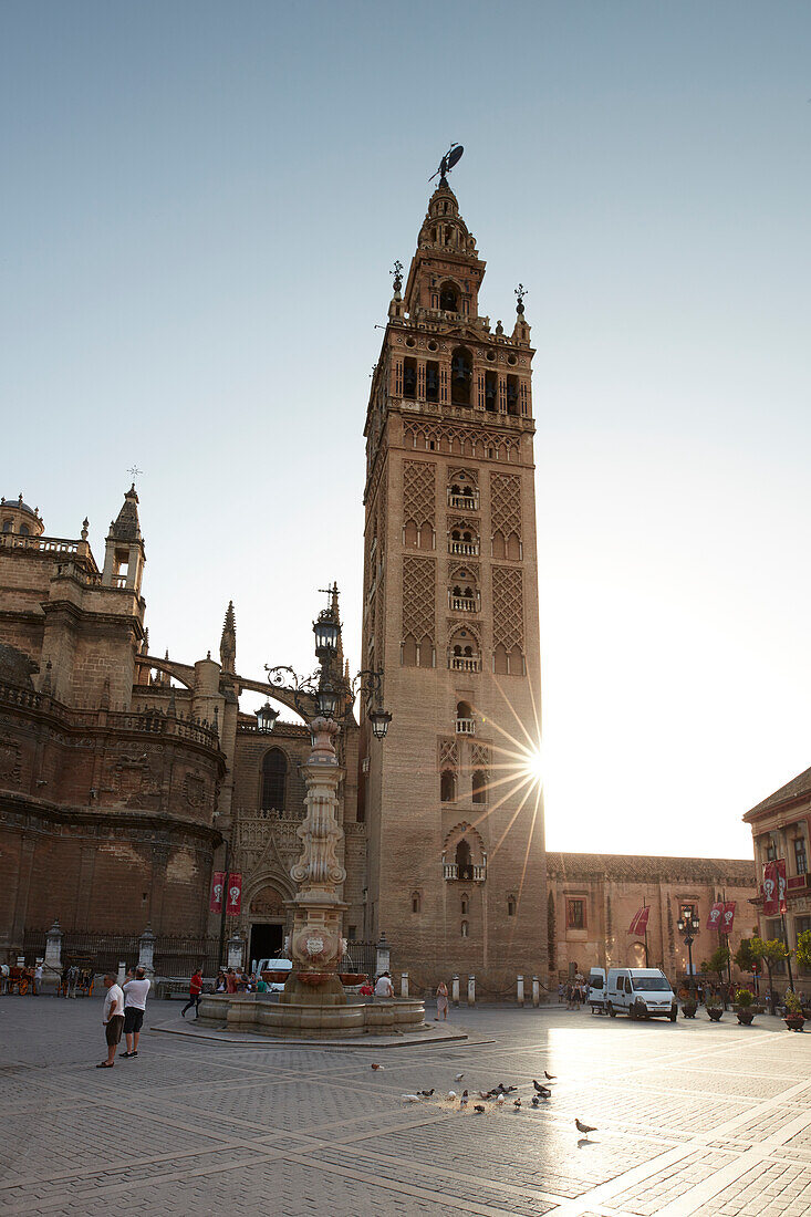 Tower Giralda at the Cathedral, ,  Seville, andalusia, Europe