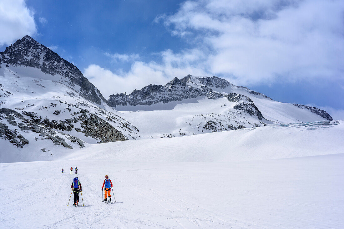 Several persons backcountry skiing ascending on glacier Adamello, glacier Adamello, Adamello group, Trentino, Italy