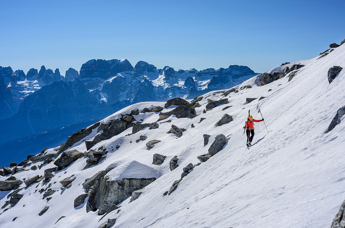 Woman backcountry skiing ascending towards Cima Presanella, Presanella, Adamello group, Trentino, Italy