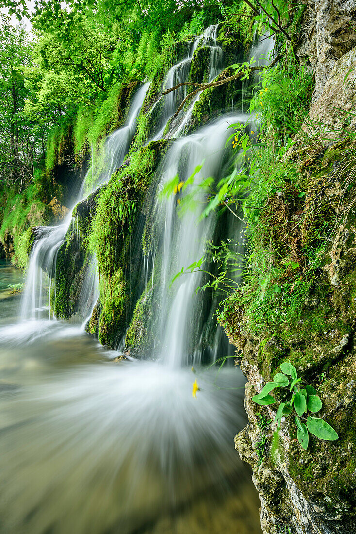Wasserfall von Plitvitz, Plitvitzer Seen, Nationalpark Plitvitzer Seen, Plitvice, UNESCO Weltnaturerbe Nationalpark Plitvitzer Seen, Kroatien