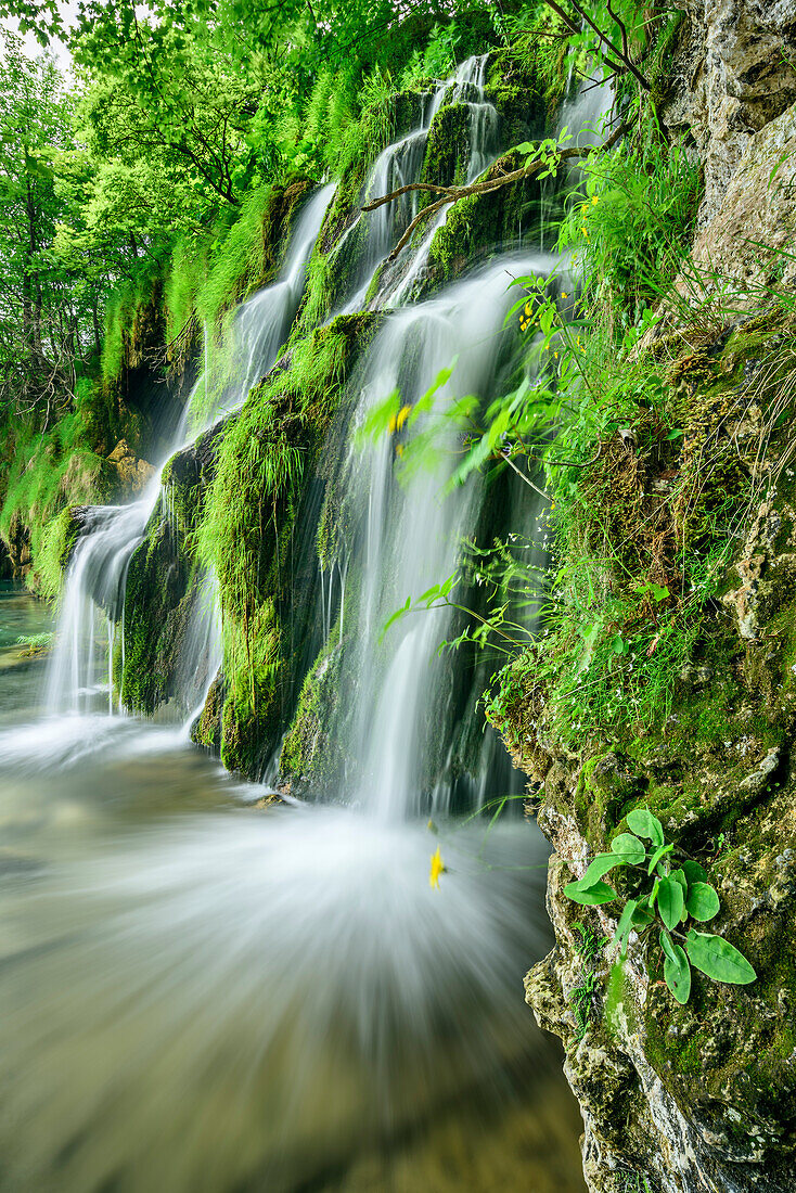 Waterfall of Plitvice, Plitvice Lakes, National Park Plitvice Lakes, Plitvice, UNESCO world heritage site National Park Lake Plitvice, Croatia