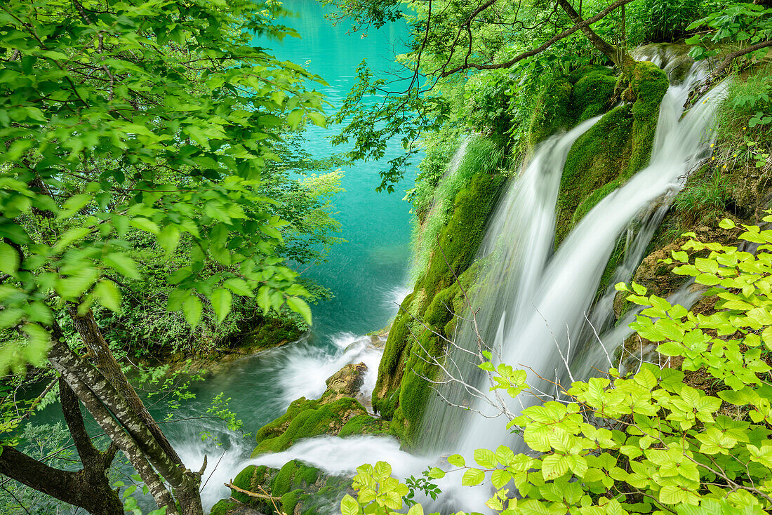 See und Wasserfall von Plitvitz, Plitvitzer Seen, Nationalpark Plitvitzer Seen, Plitvice, UNESCO Weltnaturerbe Nationalpark Plitvitzer Seen, Kroatien