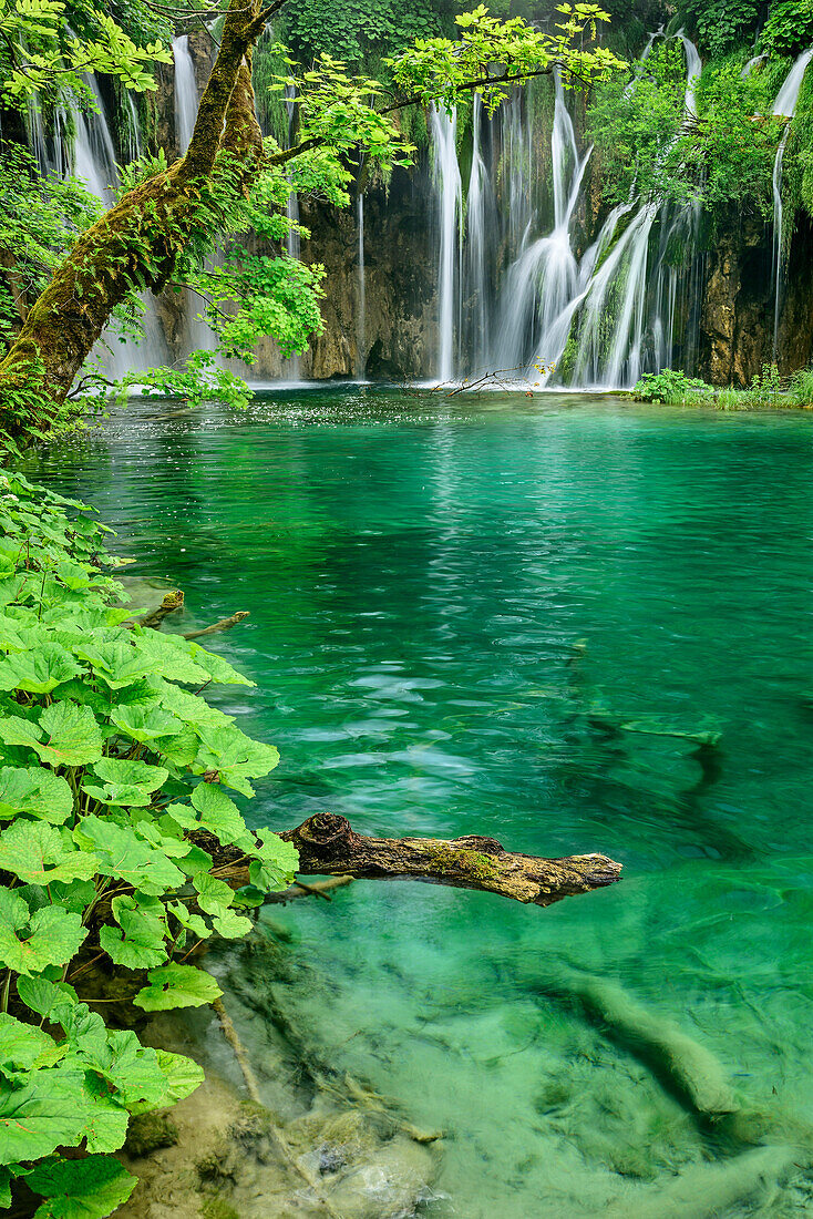 See und Wasserfälle von Plitvitz, Plitvitzer Seen, Nationalpark Plitvitzer Seen, Plitvice, UNESCO Weltnaturerbe Nationalpark Plitvitzer Seen, Kroatien