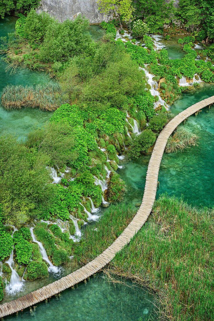 Pier leading through National Park Plitvice Lakes, Plitvice Lakes, National Park Plitvice Lakes, Plitvice, UNESCO world heritage site National Park Lake Plitvice, Croatia