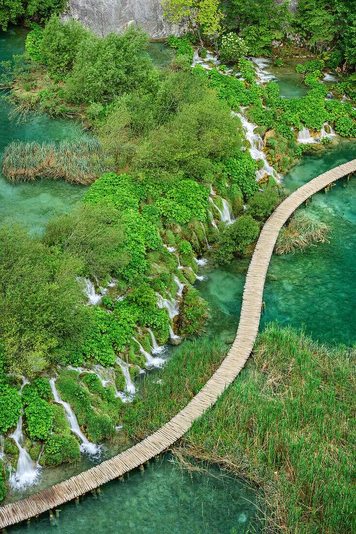 Steg führt durch Nationalpark Plitvitzer Seen, Plitvitzer Seen, Nationalpark Plitvitzer Seen, Plitvice, UNESCO Weltnaturerbe Nationalpark Plitvitzer Seen, Kroatien